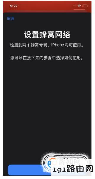 iPhone 11的双卡双待功能如何设置？