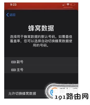 iPhone 11的双卡双待功能如何设置？