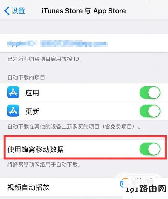 苹果iPhone如何用流量下载软件