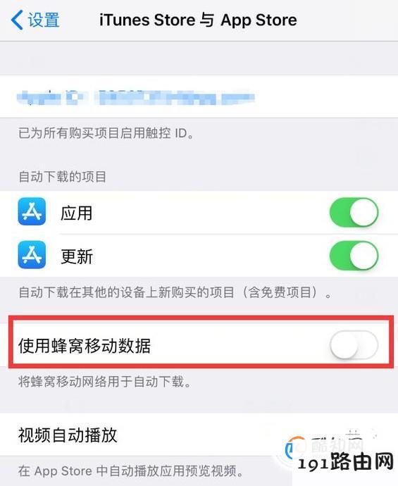 苹果iPhone如何用流量下载软件