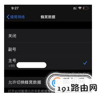 iPhone 11的双卡双待功能如何设置？