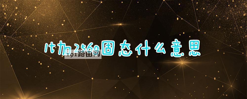 1t加256g固态什么意思